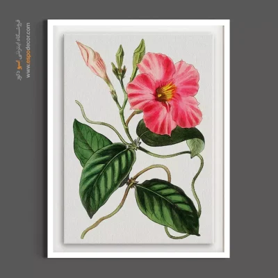 دکوراسیون دخترانه - شیپور صورتی – تابلو گل - اسپو دکور