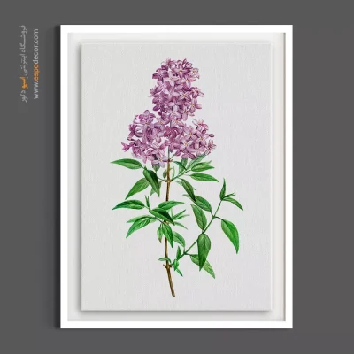 تابلو گل بهاری - خوشه یاس بنفش – تابلو گل - اسپو دکور