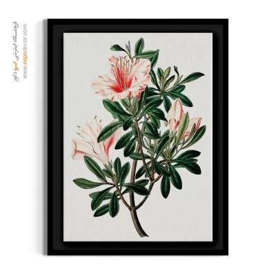 خرید تابلو نقاشی گل - آزالیا صورتی – تابلو گل - اسپو دکور