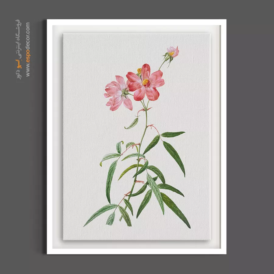 خرید تابلو گل سرخ - نسترن وحشی – تابلو گل - اسپو دکور