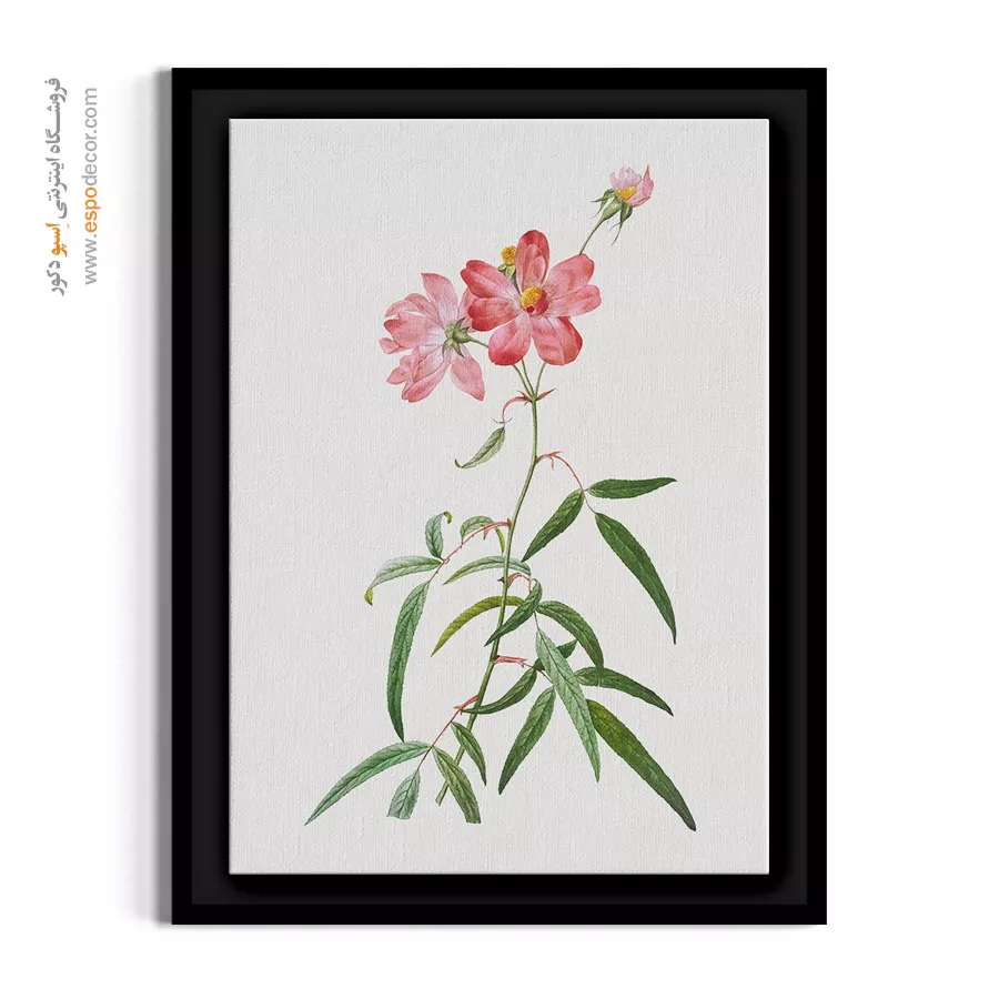 خرید تابلو گل سرخ - نسترن وحشی – تابلو گل - اسپو دکور