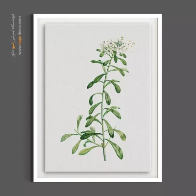 تابلو گل های سفید - سبد نقره‌ای – تابلو گل - اسپو دکور