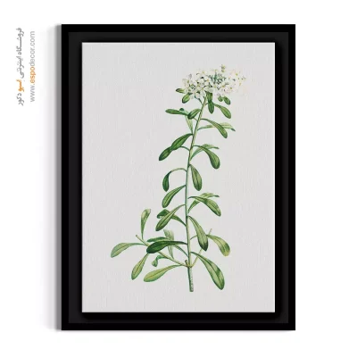 تابلو گل های سفید - سبد نقره‌ای – تابلو گل - اسپو دکور