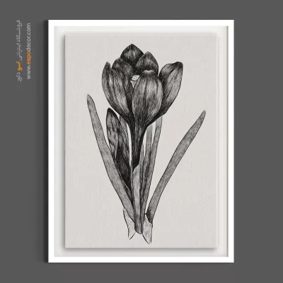 تابلو نقاشی سیاه قلم - کرکوس سیاه قلم – تابلو گل - اسپو دکور