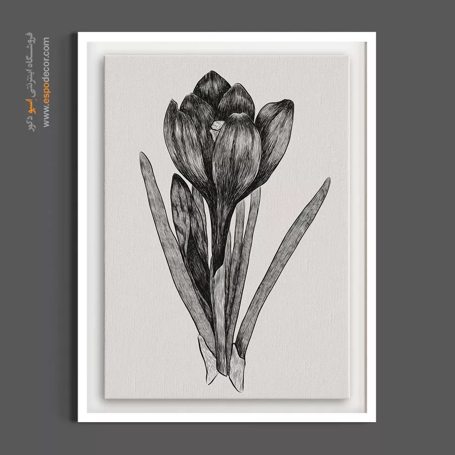 تابلو نقاشی سیاه قلم - کرکوس سیاه قلم – تابلو گل - اسپو دکور