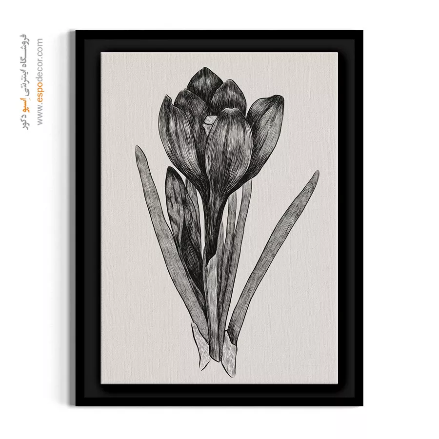تابلو نقاشی سیاه قلم - کرکوس سیاه قلم – تابلو گل - اسپو دکور