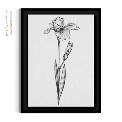 طرح گل زیبا - زنبق کشیده – تابلو گل - اسپو دکور