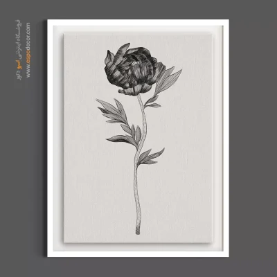 خرید تابلو گل کلاسیک - پئونی سیاه – تابلو گل - اسپو دکور
