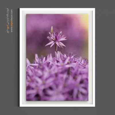 دکوراسیون پاستلی - آلیوم بنفش – تابلو گل - اسپو دکور