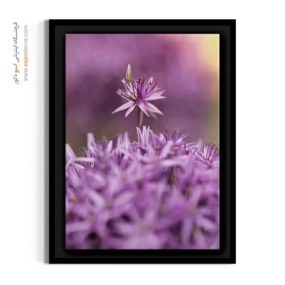 دکوراسیون پاستلی - آلیوم بنفش – تابلو گل - اسپو دکور