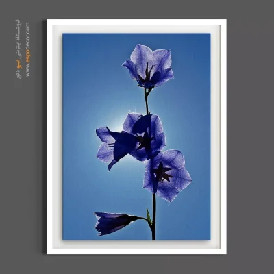 تابلو آبی و بنفش - زنگوله آبی در نور – تابلو گل - اسپو دکور