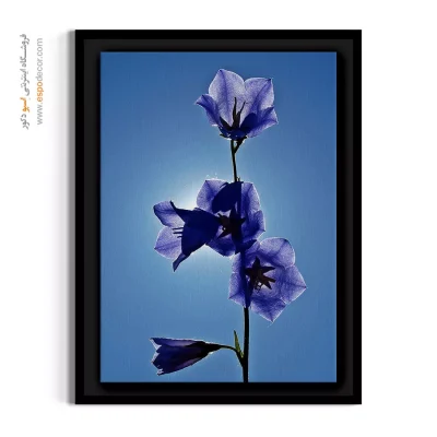 تابلو آبی و بنفش - زنگوله آبی در نور – تابلو گل - اسپو دکور