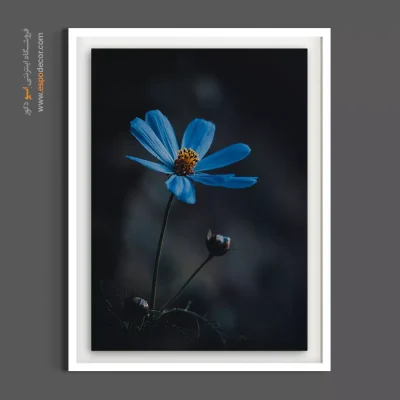 تابلو مینیمال - کوکب آبی در شب – تابلو گل - اسپو دکور