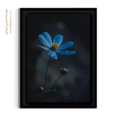 تابلو مینیمال - کوکب آبی در شب – تابلو گل - اسپو دکور