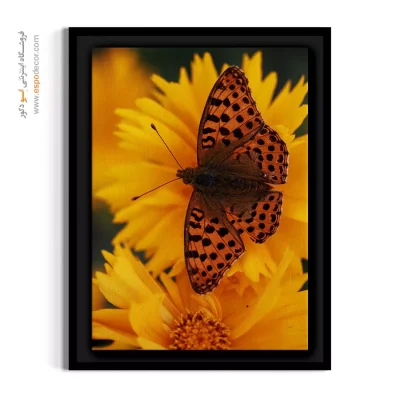 خرید تابلو گل و پروانه - پروانه روی گل زرد – تابلو گل - اسپو دکور