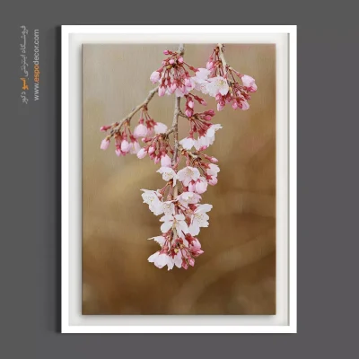 خرید تابلو شکوفه گیلاس - شکوفه آویزان بهاری – تابلو گل - اسپو دکور