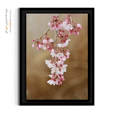 خرید تابلو شکوفه گیلاس - شکوفه آویزان بهاری – تابلو گل - اسپو دکور