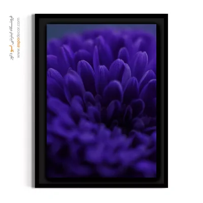 تابلو مدرن انتزاعی - داوودی بنفش – تابلو گل - اسپو دکور