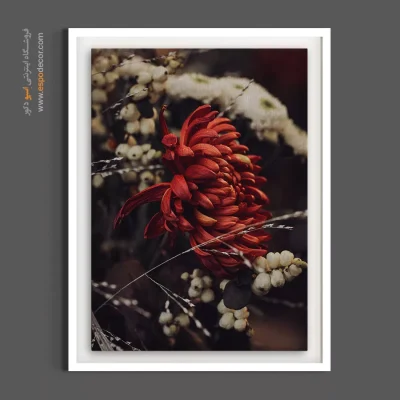 تابلو گل قرمز - داوودی قرمز زمستانی – تابلو گل - اسپو دکور