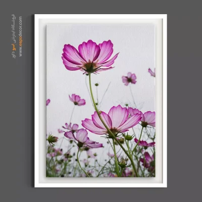 تابلو اتاق خواب پاستلی - کوکب صورتی شفاف – تابلو گل - اسپو دکور