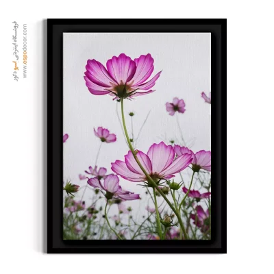 تابلو اتاق خواب پاستلی - کوکب صورتی شفاف – تابلو گل - اسپو دکور