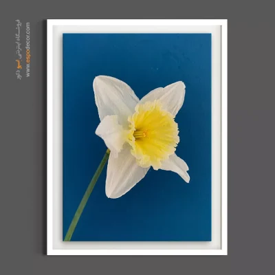 تابلو هدیه سال نو - نرگس زرد و سفید – تابلو گل - اسپو دکور