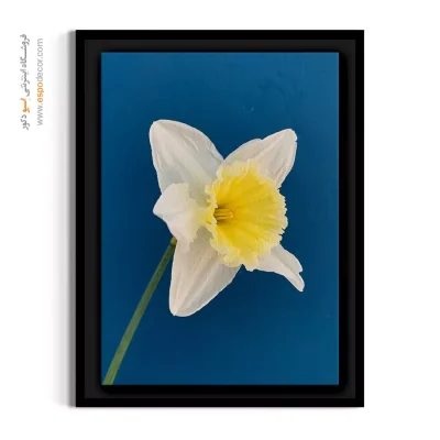 تابلو هدیه سال نو - نرگس زرد و سفید – تابلو گل - اسپو دکور