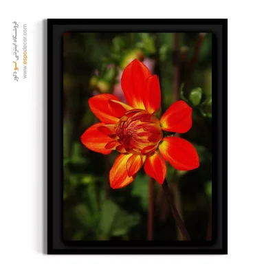 تابلو دکوراسیون گرم - کوکب نارنجی آتشین – تابلو گل - اسپو دکور