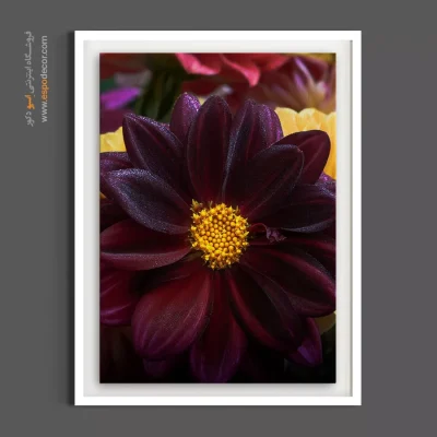 تابلو دکوراسیون رسمی - کوکب شرابی و طلایی – تابلو گل - اسپو دکور