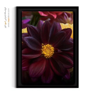 تابلو دکوراسیون رسمی - کوکب شرابی و طلایی – تابلو گل - اسپو دکور