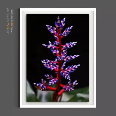 خرید تابلو گیاه استوایی - تانگوی آبی – تابلو گل - اسپو دکور