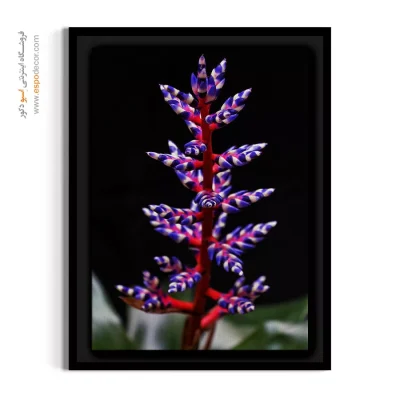 خرید تابلو گیاه استوایی - تانگوی آبی – تابلو گل - اسپو دکور