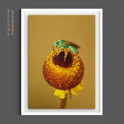 تابلو طلایی و سبز - زنبور عسل سبز – تابلو گل - اسپو دکور