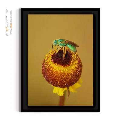 تابلو طلایی و سبز - زنبور عسل سبز – تابلو گل - اسپو دکور