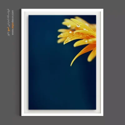 تابلو مناسب دکوراسیون‌های مدرن - گل و شبنم – تابلو گل - اسپو دکور