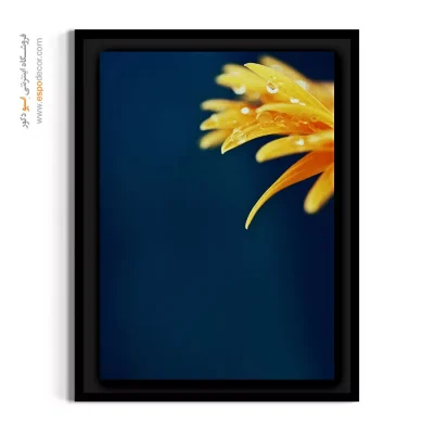 تابلو مناسب دکوراسیون‌های مدرن - گل و شبنم – تابلو گل - اسپو دکور