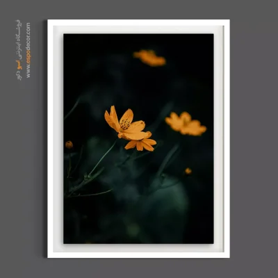 خرید تابلو گل - کوکب های زرد – تابلو گل - اسپو دکور