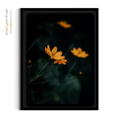 خرید تابلو گل - کوکب های زرد – تابلو گل - اسپو دکور