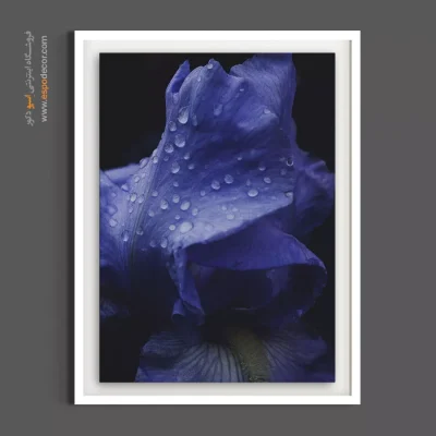 تابلو اتاق خواب مستر - زنبق آبی – تابلو گل - اسپو دکور