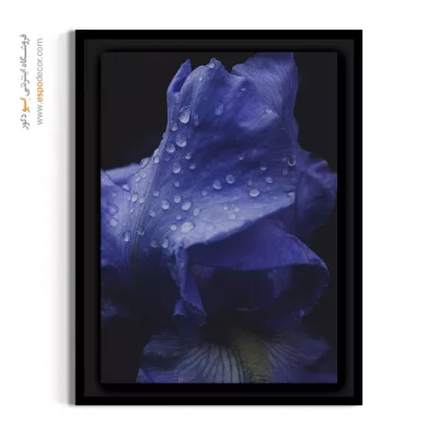 تابلو اتاق خواب مستر - زنبق آبی – تابلو گل - اسپو دکور