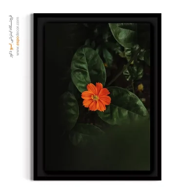 قیمت تابلو دکوراتیو - مارگریت نارنجی – تابلو گل - اسپو دکور