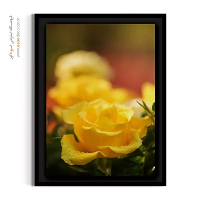 خرید تابلو دکوراتیو رز زرد - رز زرد شاداب – تابلو گل - اسپو دکور