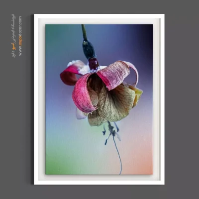 دکوراسیون رمانتیک - پژمرده – تابلو گل - اسپو دکور