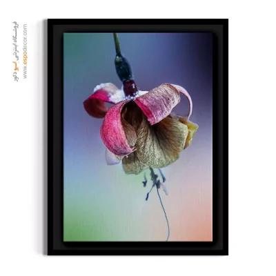 دکوراسیون رمانتیک - پژمرده – تابلو گل - اسپو دکور