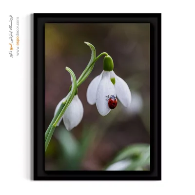 تابلو اتاق کودک با دکوراسیون بهاری - گل برفی و کفشدوزک – تابلو گل - اسپو دکور