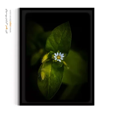 خرید تابلو دکوراتیو گل کوچک - گل ریز – تابلو گل - اسپو دکور