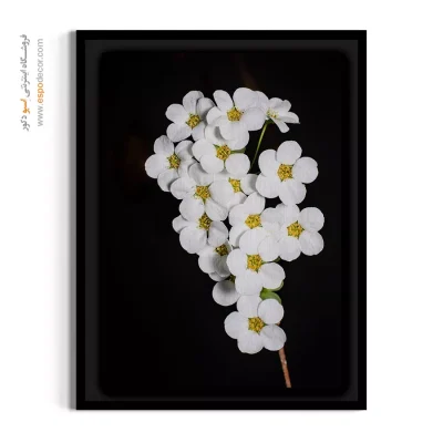 تابلو پذیرایی و نشیمن لوکس - شکوفه اسپیریا – تابلو گل - اسپو دکور