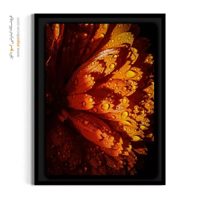 خرید تابلو نارنجی - گلبرگ‌ نارنجی – تابلو گل - اسپو دکور