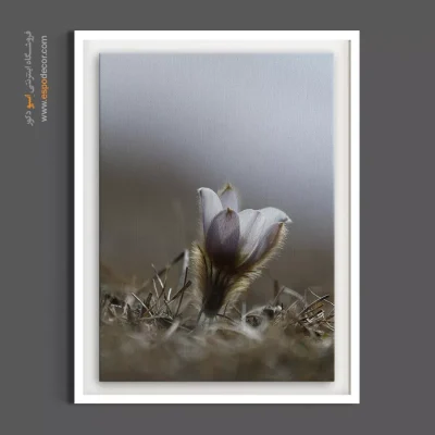 تابلو دکور اسکاندیناوی - بنفشه کوهی – تابلو گل - اسپو دکور