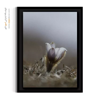 تابلو دکور اسکاندیناوی - بنفشه کوهی – تابلو گل - اسپو دکور